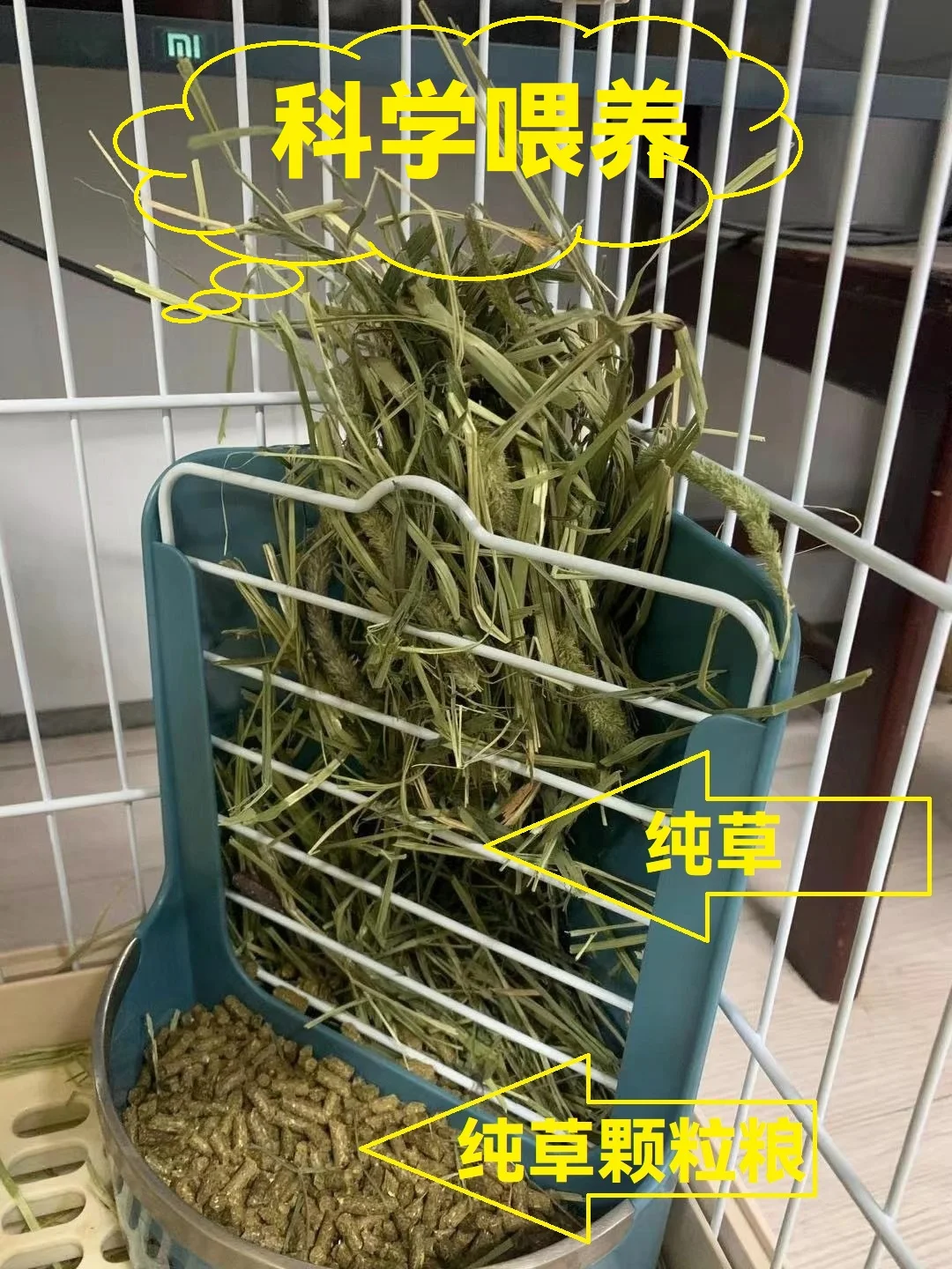 缩略图 6