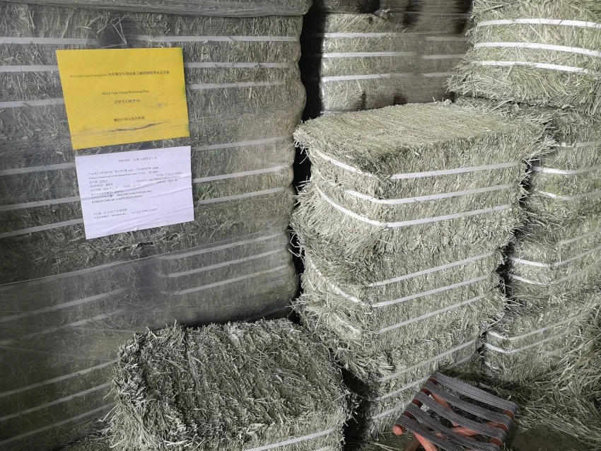 原装进口精选提摩西草捆5公斤装